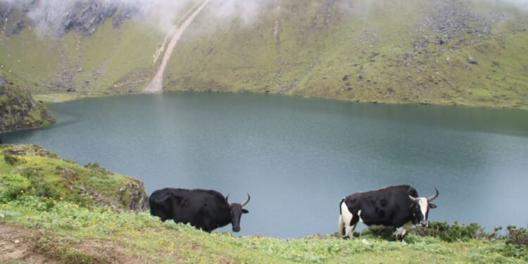 मौसमअनुसार परिवर्तन हुने ताप्लेजुङको ‘छ्यो थाङ्गी छ्यो पोखरी’