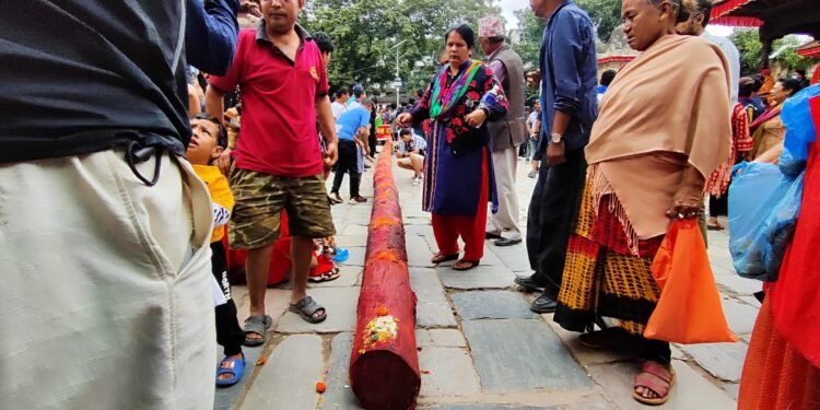 इन्द्रजात्राको लिङ्गो नगर प्रवेश