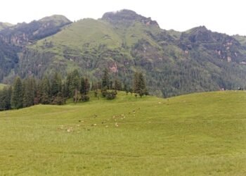 जुम्लाको धिमीचौर आन्तरिक पर्यटकीय गन्तव्य बन्दै