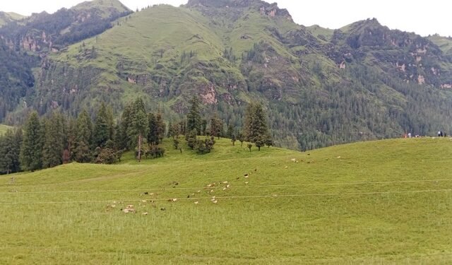 जुम्लाको धिमीचौर आन्तरिक पर्यटकीय गन्तव्य बन्दै