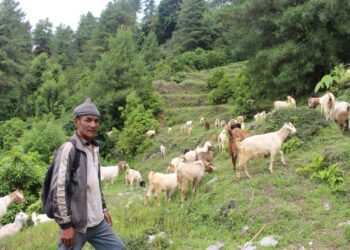 ‘बाख्रापालनबाट मिल्यो सफलता’