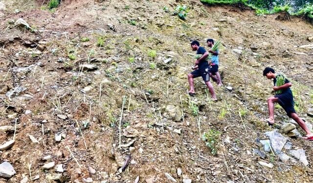 पहिरो रोकथाम गर्न ‘बायो इञ्जिनियरिङ’ प्रविधि