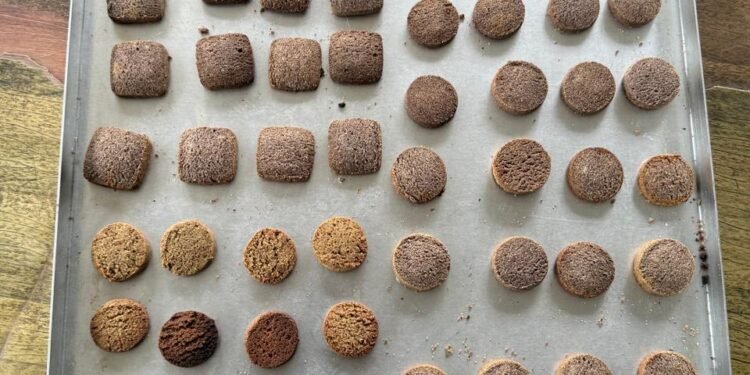 कोदोको बिष्कुट उत्पादन गर्न उद्योग स्थापना