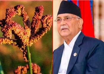कोदो उत्पादन बढाऔं, कोदोका परिकारहरु उपभोग गरौं : प्रधानमन्त्री ओली