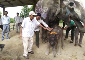 पूर्वसंरक्षण अधिकृत रामप्रित यादवको सम्मानमा छावाको नाम