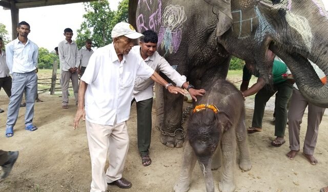 पूर्वसंरक्षण अधिकृत रामप्रित यादवको सम्मानमा छावाको नाम