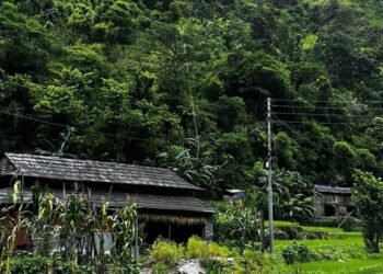 म्याग्दीमा विद्युत् वितरण प्रणाली सुदृढीकरण योजना