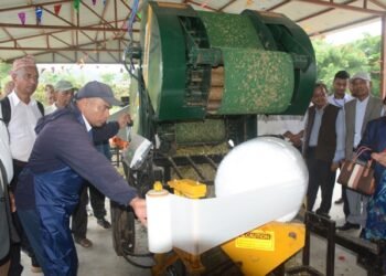 पशुवस्तुलाई पौष्टिक आहार खुवाउन साइलेज उद्योग स्थापना