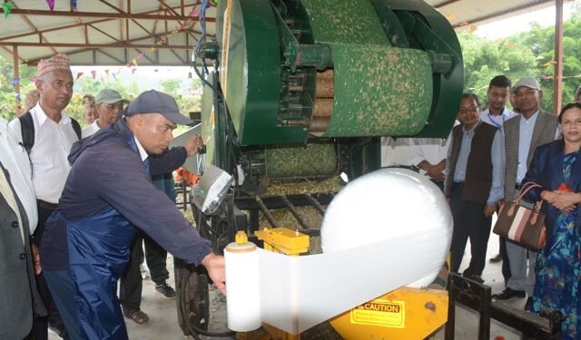 पशुवस्तुलाई पौष्टिक आहार खुवाउन साइलेज उद्योग स्थापना