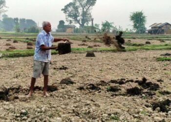 अधियाँ खेतीमै निर्भर छ भूमिहीन परिवार