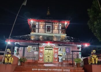 पाल्पामा भगवती रथजात्राको तयारी गरिँदै