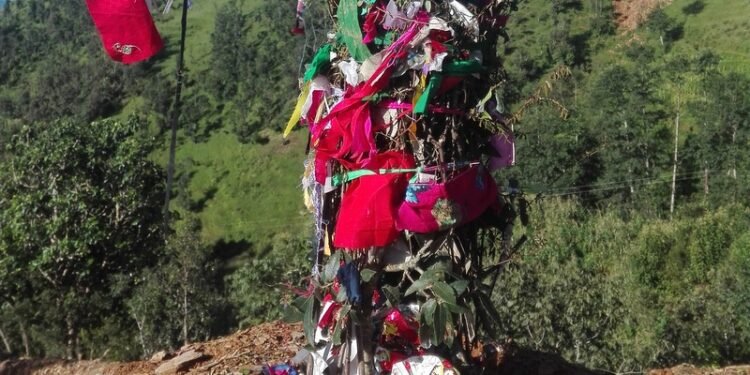 सुदूरपश्चिममा ओल्के पर्व मनाइँदै