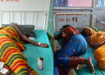 उदयपुरमा जंगली च्याउ खाँदा एउटै परिवारका आठजना बिरामी