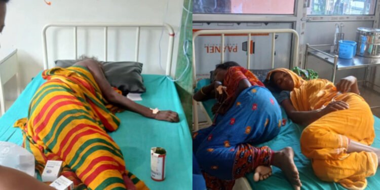 उदयपुरमा जंगली च्याउ खाँदा एउटै परिवारका आठजना बिरामी