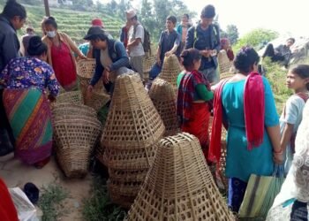 डोका बिक्रीबाट मासिक ४० हजार आम्दानी