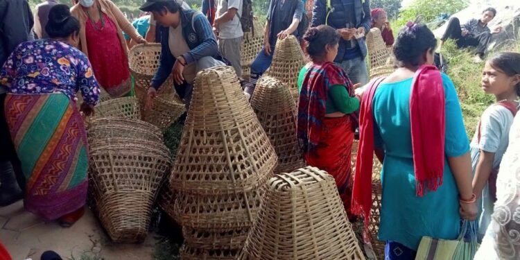 डोका बिक्रीबाट मासिक ४० हजार आम्दानी