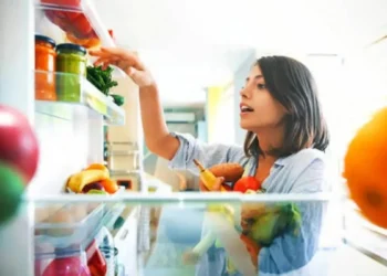 दालदेखि मटर पनीरसम्म: फ्रिजमा कति दिनसम्म सुरक्षित रहन्छ खाना ?