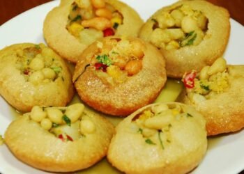 पानीपुरी र चटपटे बेच्नेको अनुगमन गर्दै महानगर