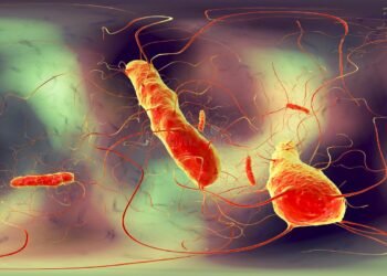 वीरगञ्जमा हैजाका बिरामी भेटिए, सतर्कता अपनाउन अनुरोध