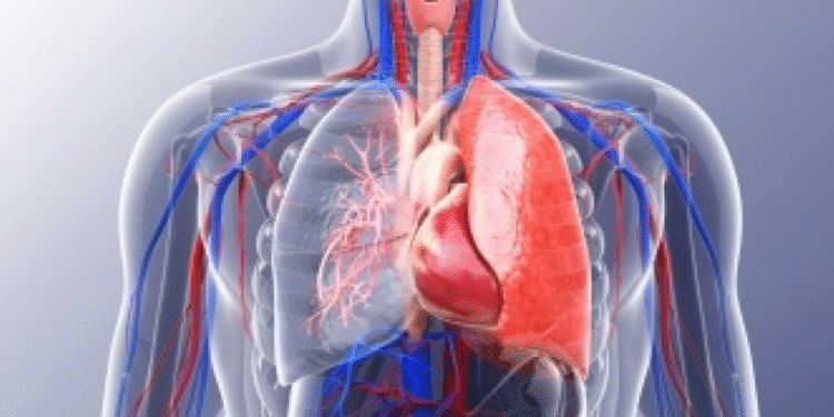 मुटु, क्यान्सर र श्वासप्रश्वास सम्बन्धी रोगका बिरामी धेरै