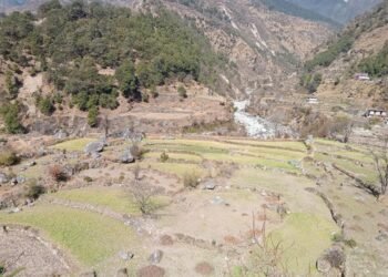 नाम्खाको लिमीमा खेतीयोग्य जमिन बाँझिने क्रम बढ्दै