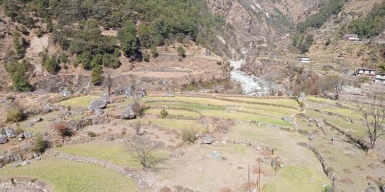 नाम्खाको लिमीमा खेतीयोग्य जमिन बाँझिने क्रम बढ्दै