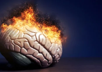 अत्यधिक तापक्रमले मानसिक स्वास्थ्यमा नकारात्मक प्रभाव पार्ने जोखिम