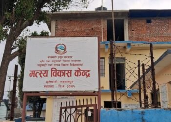 माछा बेचेर ६ लाख १७ हजार रुपैयाँ राजश्व संकलन