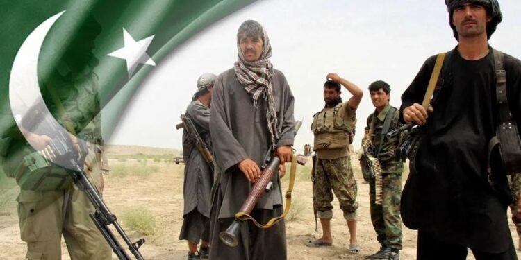 पाकिस्तानमा ७८ सय आतंकवादी सक्रिय छन्ः राष्ट्र संघीय टोली