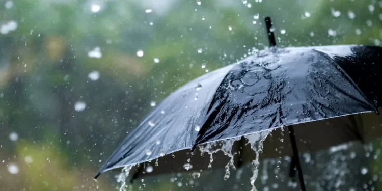 वर्षाको पानी धेरै उपयोगी छ, यी उपायहरूले धेरै समस्याहरू समाधान हुनेछ