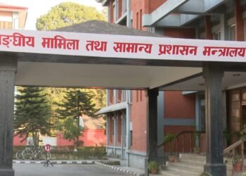 नगरपालिका र गाउँपालिकामा निमित्त प्रमुख शून्य
