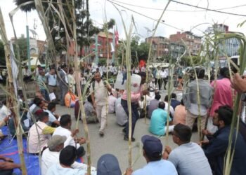 उखु किसानलाई अनुदान निकासा, बिहीबारसम्म किसानको खातामा रकम जाने