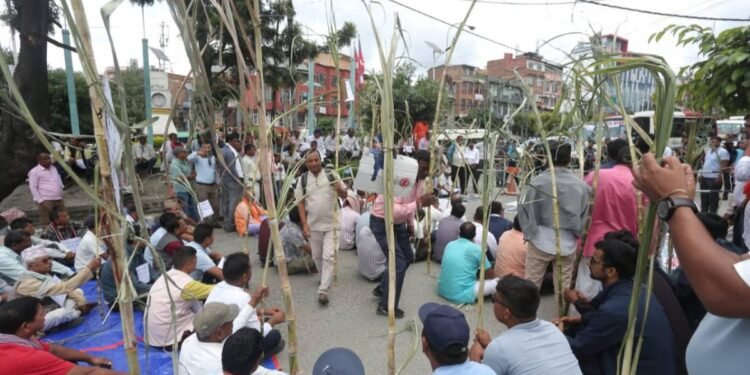 उखु किसानलाई अनुदान निकासा, बिहीबारसम्म किसानको खातामा रकम जाने