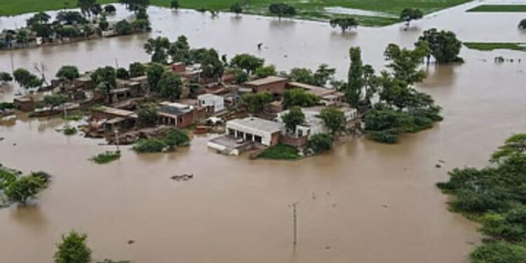 पञ्जाबमा एक महिनामा डुबे १३ सय गाउँ