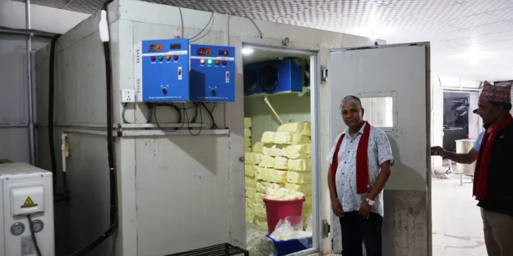 बागलुङमा घ्यू भण्डारण गर्न ‘कोल्ड स्टोर’ सञ्चालन