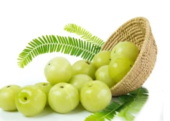 यी हुन् अमला खानुका फाइदा