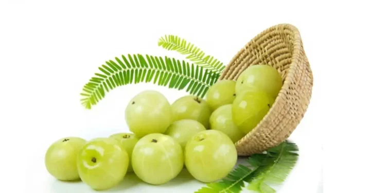 यी हुन् अमला खानुका फाइदा