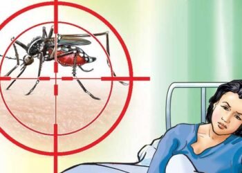 एकैसाथ डेङ्गी र सापुको जोखिम, कसरी जोगिने ?