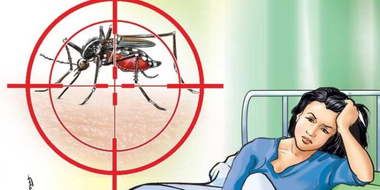 एकैसाथ डेङ्गी र सापुको जोखिम, कसरी जोगिने ?