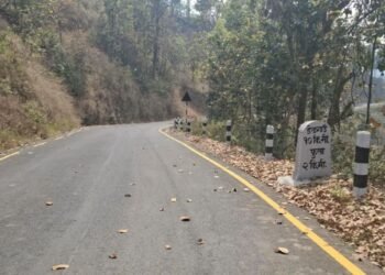 फेरियो लोपोन्मुख राउटेको जीवनशैली