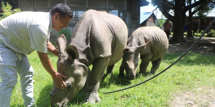 सौराहमा हुर्किंदै छन् ‘राम’ र ‘देव’