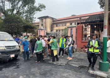 सरसफाइमा ‘जेनजी’