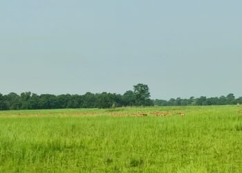 प्रचारप्रसार नहुँदा ओझेलमा शुक्लाफाँटा