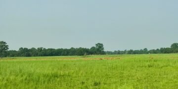 प्रचारप्रसार नहुँदा ओझेलमा शुक्लाफाँटा