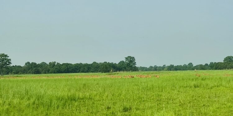 प्रचारप्रसार नहुँदा ओझेलमा शुक्लाफाँटा