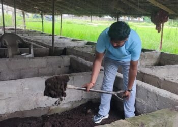 गड्यौला मल उत्पादनबाट मनग्य आम्दानी