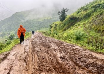 हिलाम्मे सडकले ढोरपाटन आउने पर्यटकलाई सास्ती