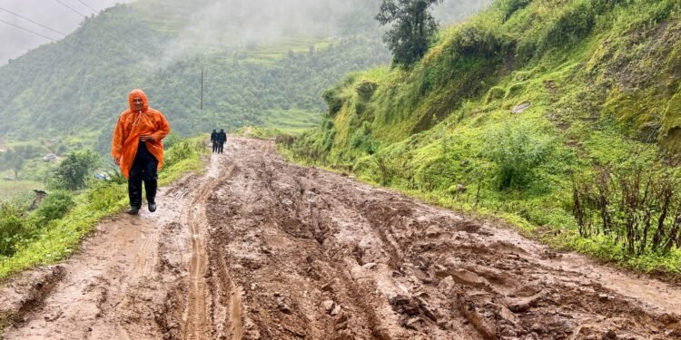 हिलाम्मे सडकले ढोरपाटन आउने पर्यटकलाई सास्ती