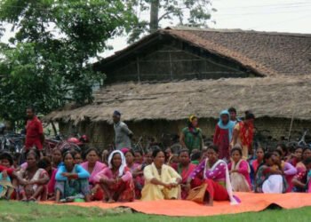 पुनःस्थापनाको पर्खाइमा मुक्त हलिया