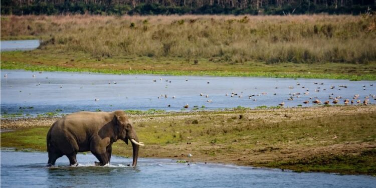 बागमतीलाई प्रमुख पर्यटकीय गन्तव्य बनाउन प्रदेश सरकारको १५ वर्षे रणनीतिक योजना कार्यान्वयनमा
